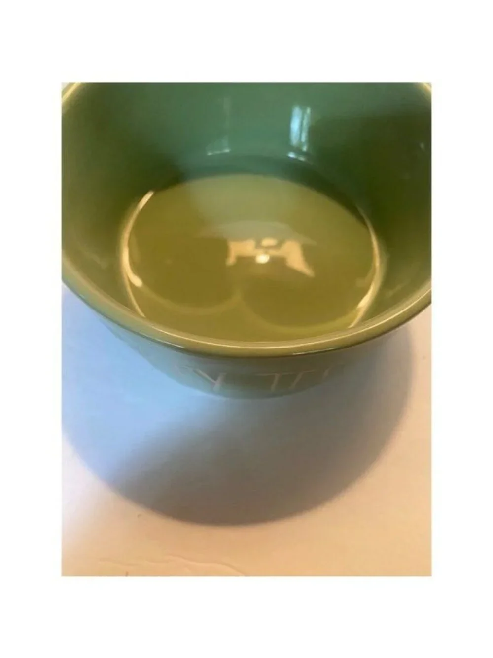 Rae Dunn Turkey Tester Etched Text Thanksgiving Ceramic Pet Bowl Serving Dish